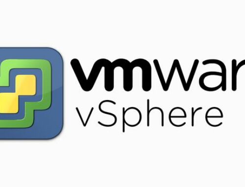 VM mit dem vSphere Client exportieren